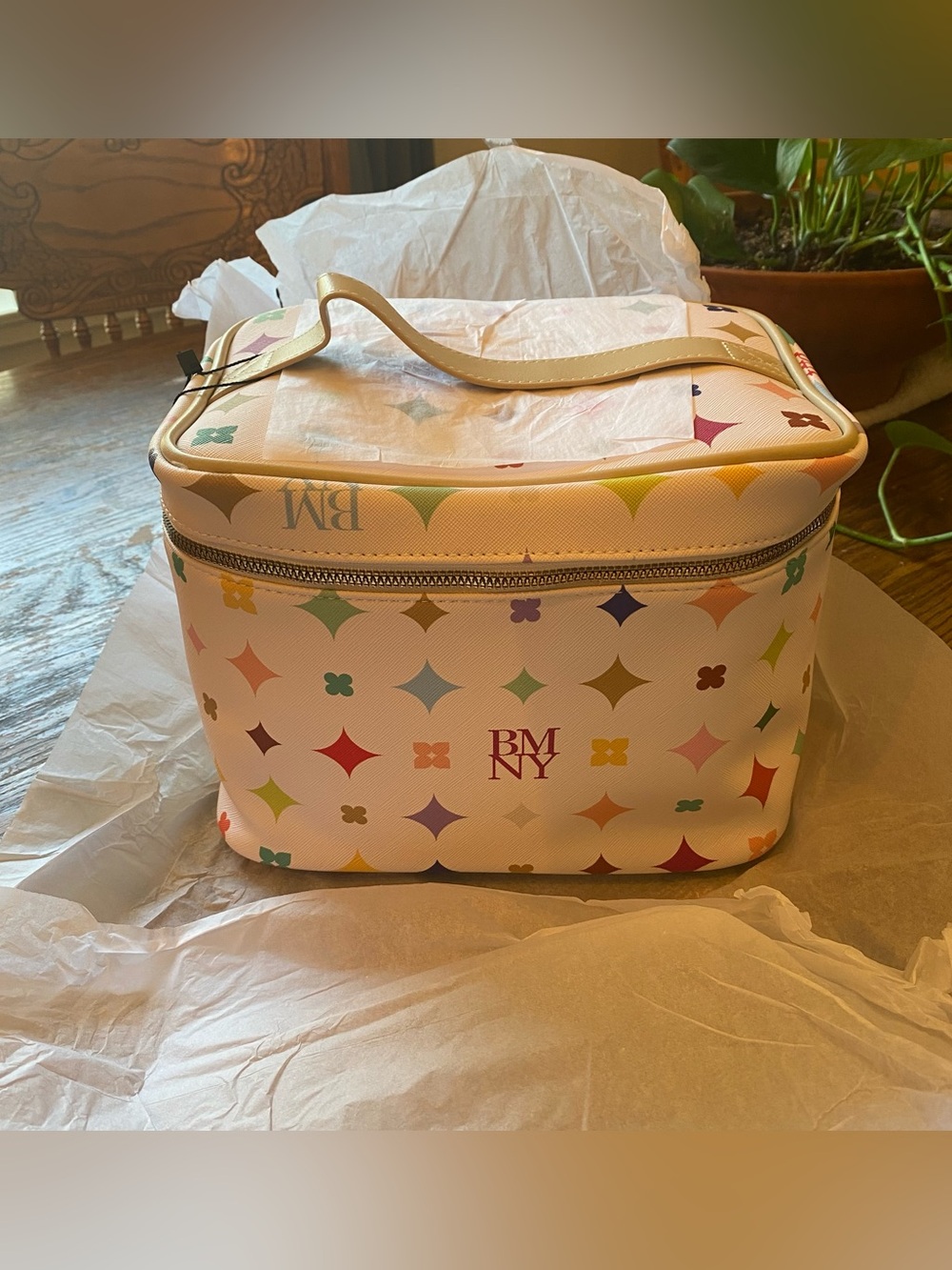Badgley Mischka White Multicolor Monogram Cosmetic Case